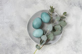 Easter colored eggs, in turquoise tones, on a gray plate, with a branch of eucalyptus, Easter card,