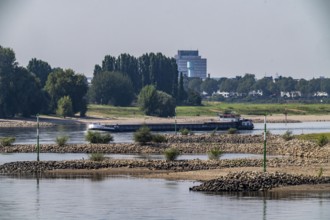 Slightly low water of the Rhine, shipping traffic on the Rhine near Düsseldorf, south of the Rhine