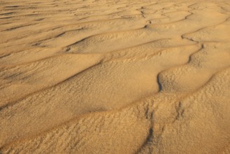 A close-up of undulating sand dunes in a desert, Matruh, Great Sand Sea, Libyan Desert, Sahara,