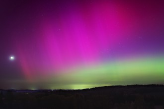 Bright aurora borealis with violet and green colours over a calm landscape, aurora borealis, high