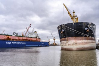 Lloyd Werft, dry dock, freighter Atlantic Journey, shipyard in the overseas harbour of Bremerhaven,