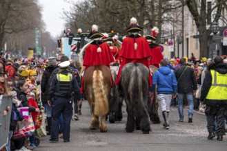 Rose Monday parade in Düsseldorf, horses, mounted groups at the street carnival, North