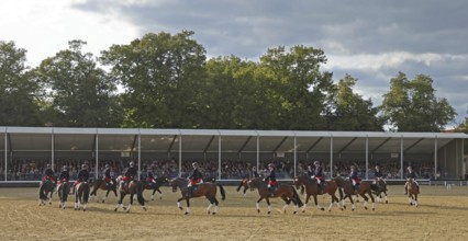 Warendorf State Stud, Stallion Parade, Jacobowski Quadrille