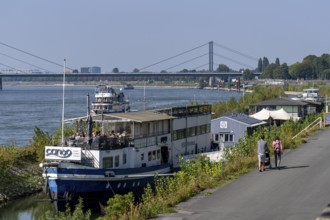 Restaurantschife at the Rhine harbour on Robert-Lehr-Ufer, in Düsseldorf, in the background the