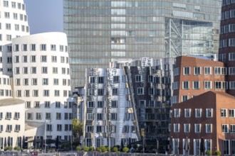 Düsseldorf Media Harbour, Gehry buildings, facade of the Stadttor building, North Rhine-Westphalia,