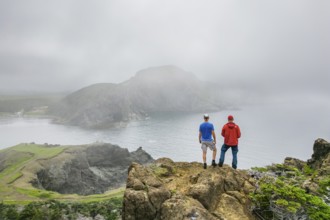 Aerial view, drone photo: Two men standing in the fog on a cliff above Bottle Cove, Bottle Cove