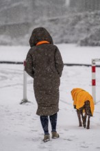 Winter weather, heavy snowfall, woman walking with dog, with winter blanket, in snowstorm, Essen,