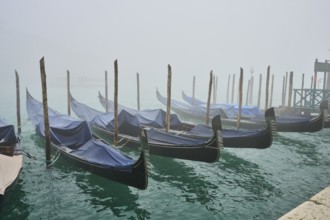 View from 'Fondamenta Salute' on the gondolas lying in the water in Venice on a foggy day in