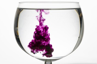 Purple swirls of colour unfold in a glass of water, creating a creative and abstract atmosphere