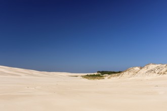 Lacka dune in the Slowinski National Park, a national park in Pomeranian Voivodeship in northern