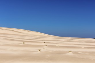 Lacka dune in the Slowinski National Park, a national park in Pomeranian Voivodeship in northern