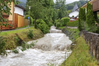 Small stream in a residential area with a strong current, surrounded by green trees and houses,