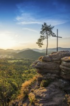 Sandstone rock with pine tree and summit cross, Rötzenfelsen, sunrise, Gossersweiler-Stein,