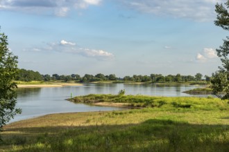 The Elbe near Buch, a district of Tangermünde, Saxony-Anhalt, Germany, Europe