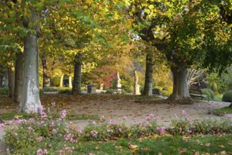 Plane trees and sandstone figures in the castle park at the baroque castle Diesbar-Seußlitz in