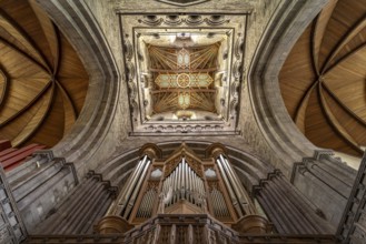 Organ and church ceiling of St Davids Cathedral, Wales, Great Britain