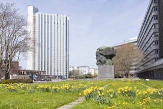 Daffodils (narcissus) blooming at the Karl Marx Monument and congress hotel next to the civic hall,