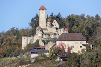 Hornberg Castle, castle of the knight Götz von Berlichingen. Landmark of Neckarzimmern and one of