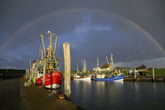 Fishing boats in the harbour of Tammensiel, rainbow, Pellworm Island, Schleswig-Holstein Wadden Sea