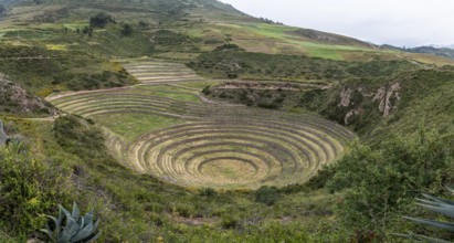 Moray, Maras, Peru, South America