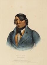 Waa-Pa-Shaw. A Sioux Chief (1838), Indians, Historical Indian Tribes from North America, Charles