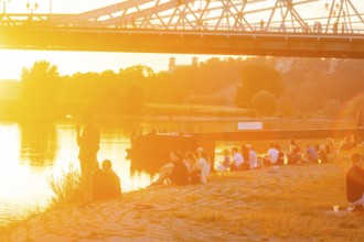 Summer evening at the Blue Wonder on the Elbe, Dresden Loschwitz, Dresden, Saxony, Germany, Europe