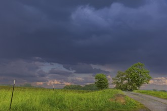 Storm on the Triebenberg near Dresden, Dresden, Saxony, Germany, Europe