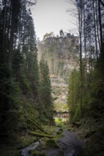 Polenztal in Saxon Switzerland, Hohnstein, Saxony, Germany, Europe