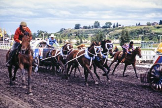 Calgary Exhibition and Stampede, Canada in the late 1970s or early 1980s Chuckwagon Race