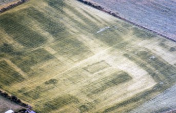 Series of oblique aerial photographs of Roman sites associated with Hadrian's Wall, c. 1970s Bibra