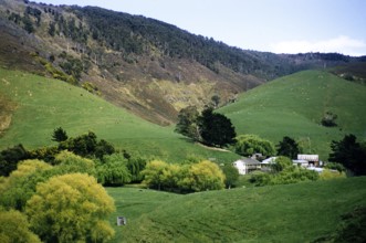 Interlocking foothills of the steep V-shaped river valley of Wild Dog Creek near Apollo Bay,