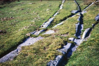 Stone tracks of the granite tramway, Haytor, Dartmoor National Park, Devon, England, UK 1972