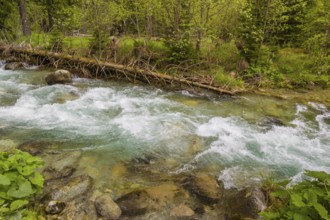 Fast flowing water, River Bela near Prbylina, Slovakia, Europe