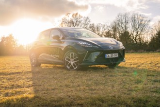 Black car in the evening sun in a meadow, golden glow from the setting sun, e-car sharing, Deer