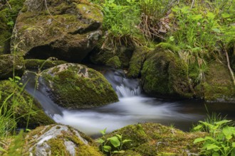 Kleine Ohe creek below Waldhaeuser village in the Bavarian Forest Nationalpark. Flowing water,