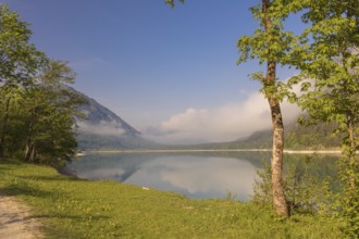 Early morning at the Sylvenstein reservoir, Reservoir in the Isarwinkel, municipality of Lenggries,