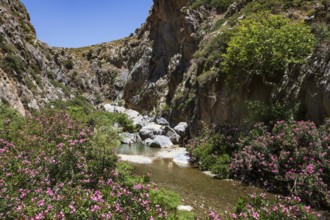 River flows through the Kourtaliatiko Gorge, Preveli Beach, south coast, Crete, Greece, Europe