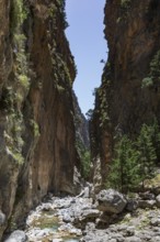 Hiking trail through the Iron Tor tor in the Samaria Gorge, south coast, Crete, Greece, Europe