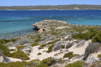 Landscape on Dirk Hartog Island, Dirk Hartog Island National Park, named after the Dutch navigator