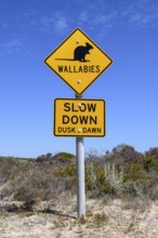 Beware of wallabies sign, Dirk Hartog Island National Park, named after the Dutch navigator of the