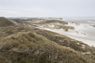 Dune landscape, Amrum, Schleswig-Holstein, Germany, Europe