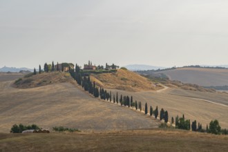 Typical Tuscan landscape in Crete Senesi with hills, trees, fields, cypresses and farm road in