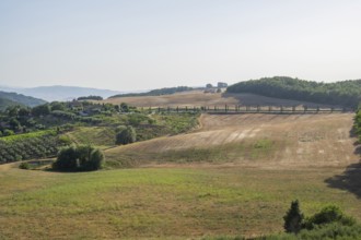 Typical Tuscan landscape in Val d'Orcia with hills, trees, fields, cypresses, vine yards and farm