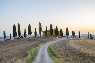 Tuscany landscape with cypresses and farmstead at sunrise, dawn, 'Podere Cipressini', San Quirico