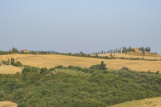 Typical Tuscan landscape in Val d'Orcia with hills, trees, fields, farmhouses and cypresses in