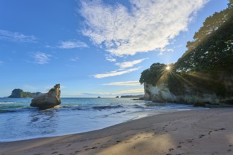 Sandy beach beach with waves and sunlit rocks, tranquillity and natural beauty, Cathedral Cove,