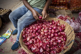 Onions displayed for sell in a market