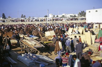 Camel market in Sousse, Tunisia, North Africa, 1972 1972, Africa