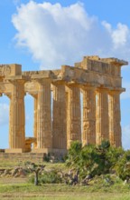 Temple of Hera or Temple E, Selinunte Archaeological Park, Selinunte, Trapani district, Sicily,