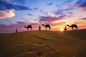 Indian cameleers camel drivers bedouin with camel silhouettes in sand dunes of Thar desert on